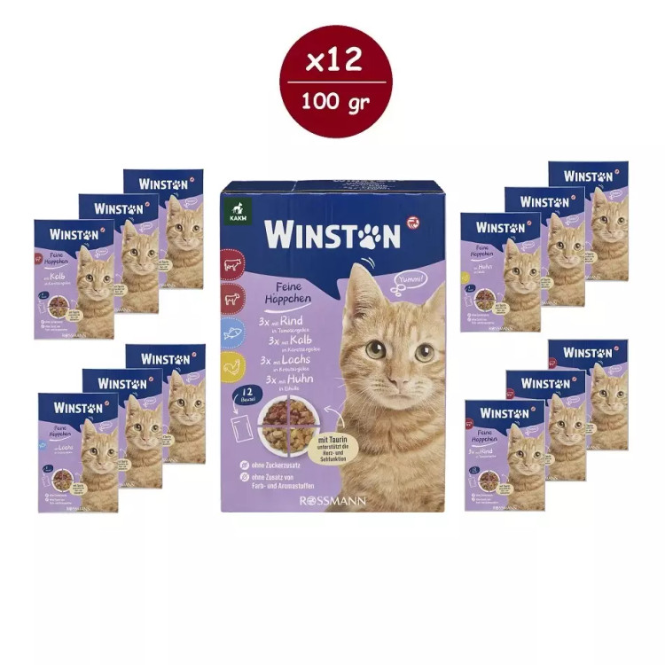 پوچ گربه وینستون مدل مولتی پک چهار طعم در ژله Winston Cat Wet Food Gravy Multi Flavor in Jelly بسته ۱۲ عددی