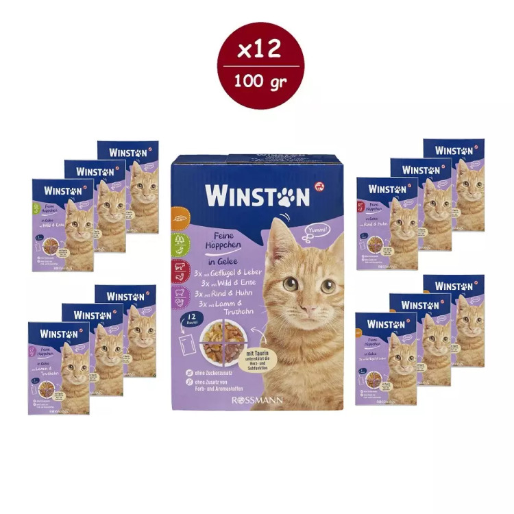 پوچ گربه وینستون مدل چهار طعم در ژله Winston Cat Wet Food Multi Flavor in Jelly بسته ۱۲ عددی