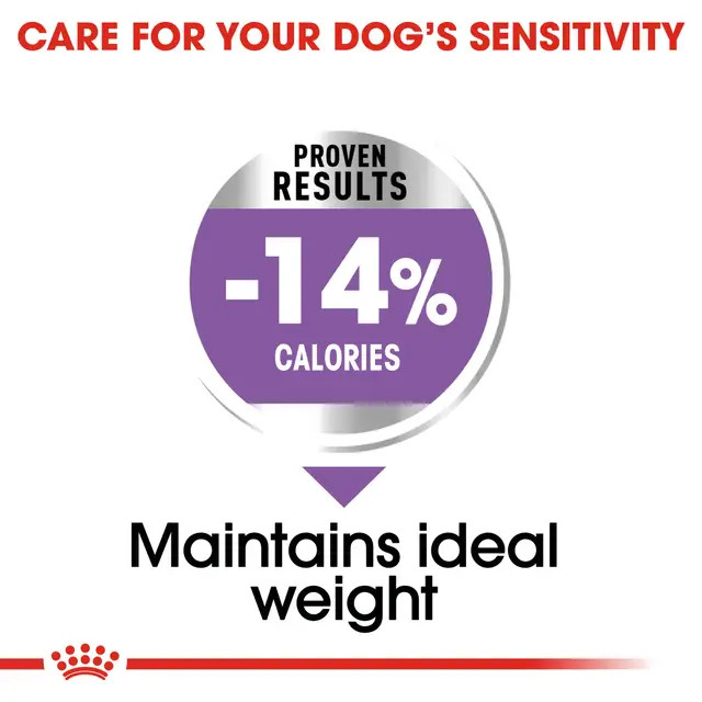 غذای خشک سگ نژاد کوچک رویال کنین مدل مینی استرلایز royalcanin dog mini sterilised وزن 3 کیلوگرم