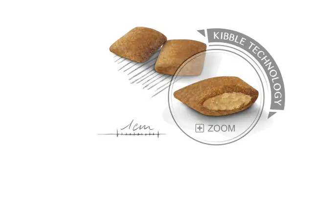 غذای خشک سگ نژاد کوچک رویال کنین مدل مینی اگزیجنت royalcanin dog mini exigent وزن 3 کیلوگرم