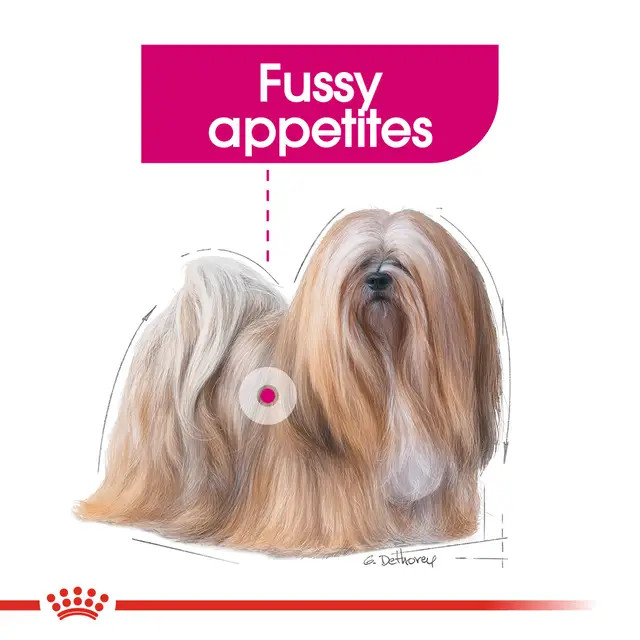 غذای خشک سگ نژاد کوچک رویال کنین مدل مینی اگزیجنت royalcanin dog mini exigent وزن 3 کیلوگرم