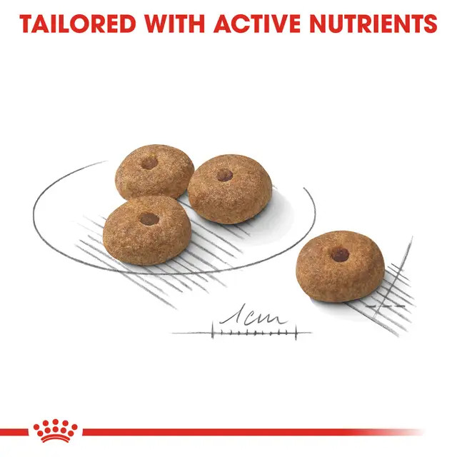 غذای خشک سگ نژاد کوچک رویال کنین مدل مینی استرلایز royalcanin dog mini sterilised وزن 3 کیلوگرم