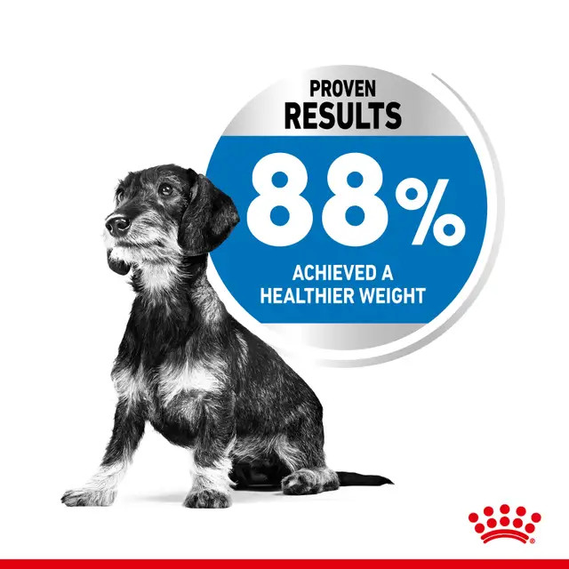 غذای خشک سک نژاد کوچک رویال کنین مدل مینی لایت ویت royalcanin dog mini light weight وزن 3 کیلوگرم