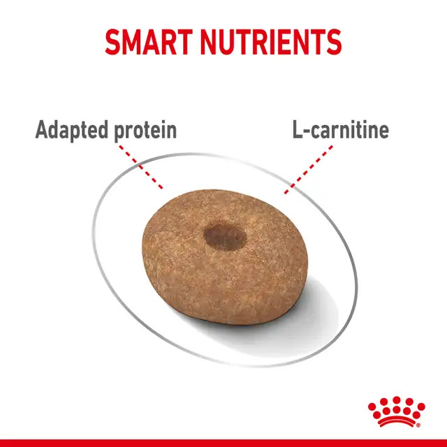 غذای خشک سک نژاد کوچک رویال کنین مدل مینی لایت ویت royalcanin dog mini light weight وزن 3 کیلوگرم