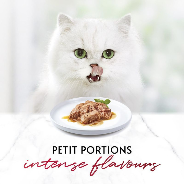 پوچ گربه گورمت طعم مرغ و بوقلمون و ارک Gourmet mon petit chichen turkey duck وزن 50 گرم پک 6 عددی