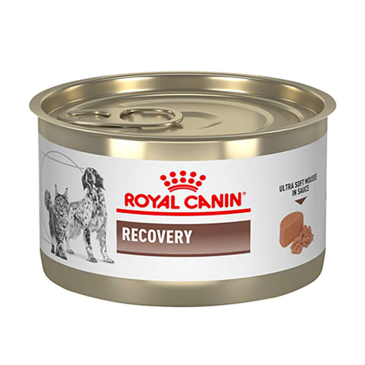 کنسرو ریکاوری سگ و گربه رویال کنین Royal Canin cat & dog recovery وزن ۱۹۵ گرم
