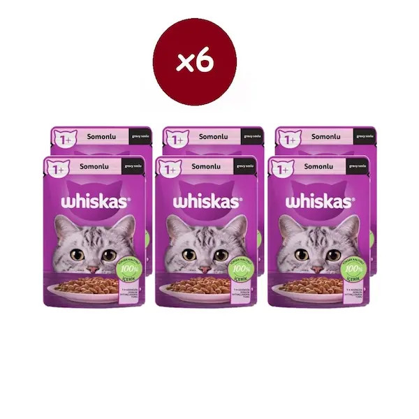 پوچ گربه ویسکاس طعم سالمون وزن 85 گرم - پک 6 عددی