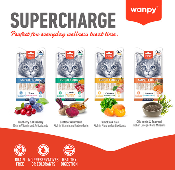 بستنی گربه سوپرفود ونپی طعم ماهی تن و توت قرمز Wanpy Cat Creamy superfood treats وزن ۱۴ گرم
